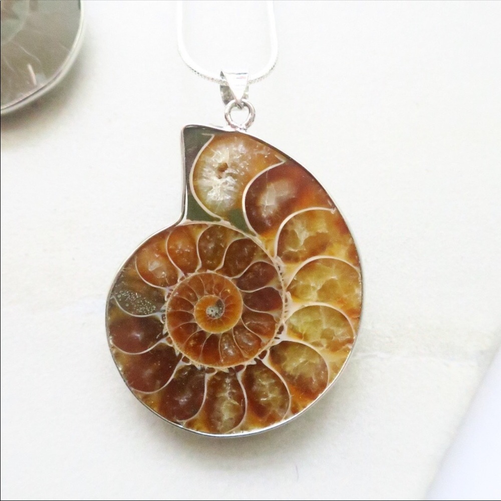 Ammonite Neclace